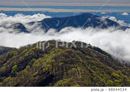 丹沢・塔ノ岳から見る雲湧く大山と横浜方面の眺望 98044534
