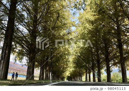 滋賀県・延暦寺 滋賀県・延暦寺 98045113
