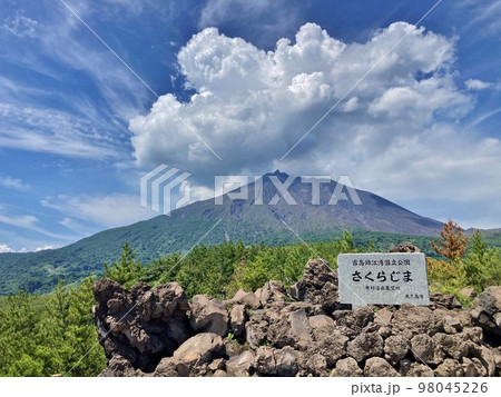 噴煙を上げる桜島　有村溶岩展望所 98045226