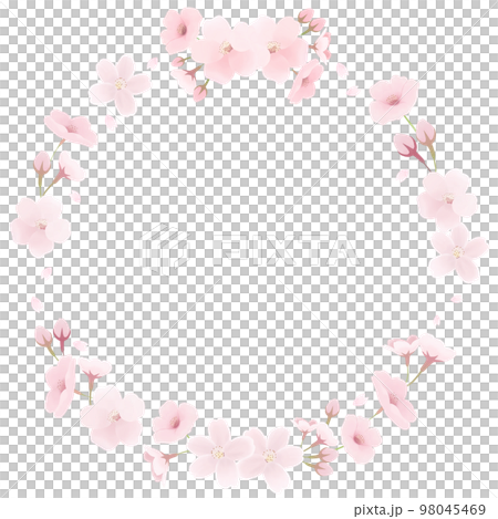 桜の花の春フレーム 丸枠 桜の花の春フレーム 丸枠 98045469