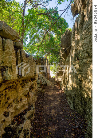 Petit Tsingy de Bemaraha, Madagascar wilderness landscape 98045934