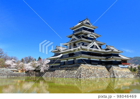 【長野県】桜満開の松本城（大天守と乾小天守と月見櫓） 98046469