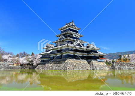【長野県】桜満開の松本城(大天守と乾小天守と月見櫓) 【長野県】桜満開の松本城(大天守と乾小天守と月見櫓) 98046470