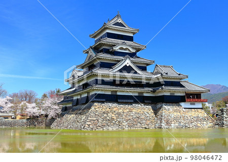 【長野県】桜満開の松本城（大天守と乾小天守と月見櫓） 98046472