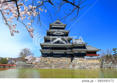 【長野県】桜満開の松本城（大天守と月見櫓） 98046475
