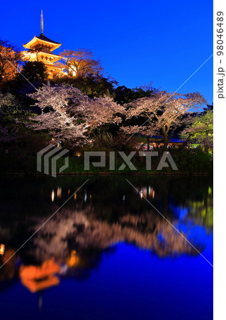 【神奈川県】三渓園の夜桜 98046489