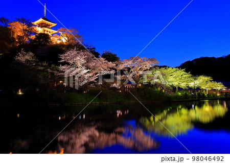 【神奈川県】三渓園の夜桜 98046492