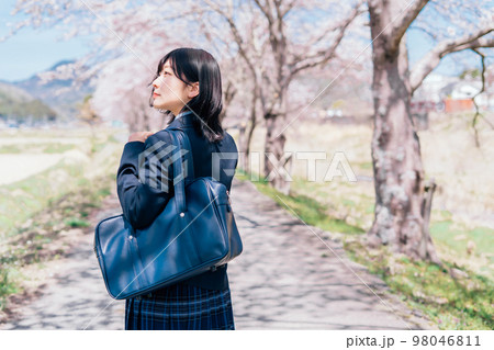 桜と高校生 桜と高校生 98046811