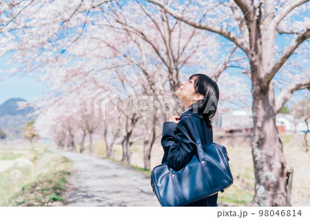 桜と高校生 98046814