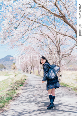 桜並木の通りを通学する女子高生 98046962