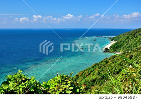 奄美大島　夏空の美しい大浜海浜公園 98046987