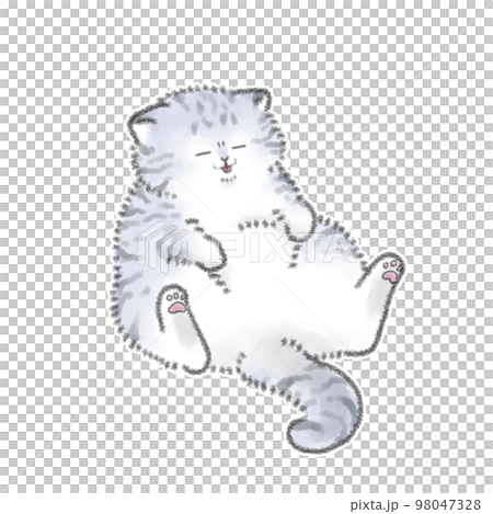 Plump cat 98047328