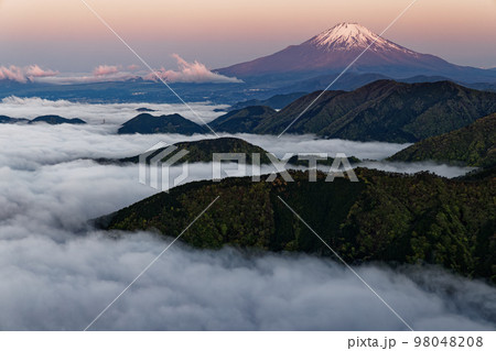 丹沢表尾根・三ノ塔から朝焼けの富士山と雲海 98048208