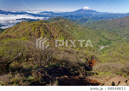 丹沢・塔ノ岳から見る新緑の鍋割山稜と富士山 丹沢・塔ノ岳から見る新緑の鍋割山稜と富士山 98048651