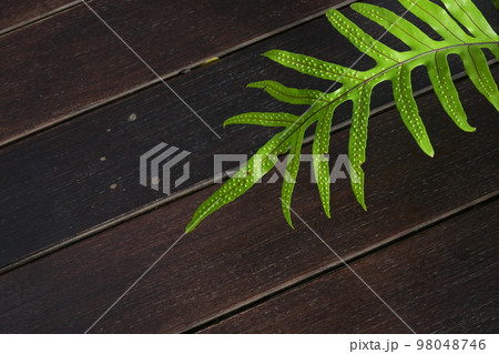 wooden floor texture background, interior design 98048746