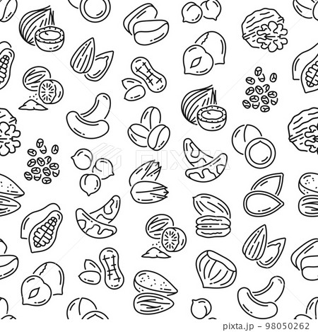 Outline nuts seamless pattern. Natural and healthy nutrition vector background, textile thin line seamless print or wallpaper pattern with hazelnut, coconut and cashew, brazil nut, walnut, pistachios 98050262