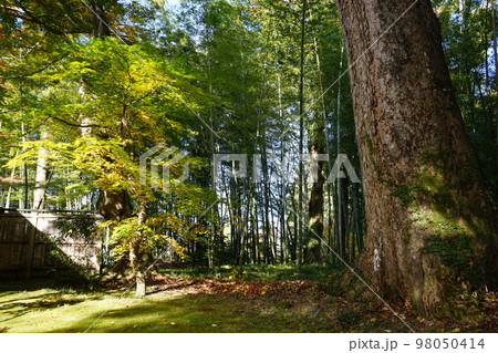 世界遺産 関山中尊寺 世界遺産 関山中尊寺 98050414