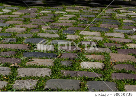 Cobblestone on the road with green grass. Background image on the theme of urban planning, vintage, travel Cobblestone on the road with green grass. Background image on the theme of urban planning, vintage, travel 98050739