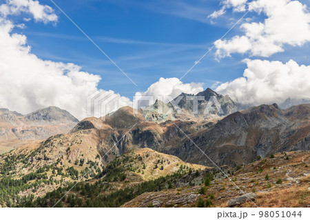 autumn vegetation in Gran Paradiso National Park. Aosta Valley, Italy 98051044