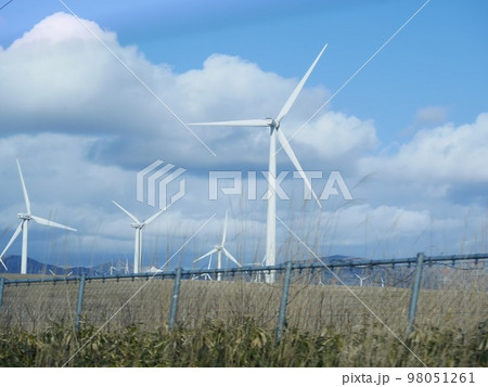 たくさんの風車 98051261