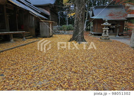 赤田神社の紅葉 赤田神社の紅葉 98051302