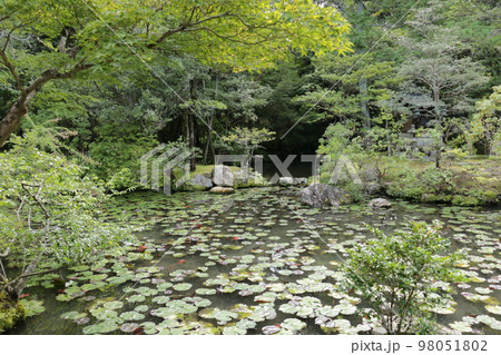 南禅寺の塔頭 金地院 98051802