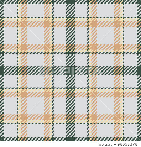 Plaid seamless pattern. Check fabric texture. Vector textile print. 98053378