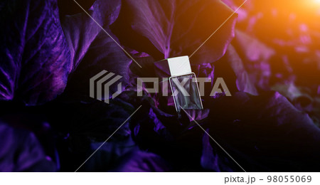 transparent perfume bottle 98055069