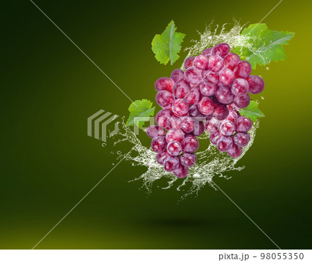 Water splash on fresh red grape with leaves isolated on green background Water splash on fresh red grape with leaves isolated on green background 98055350