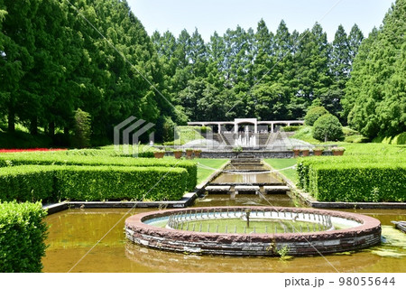神奈川県立相模原公園 フランス式庭園とメタセコイア並木 神奈川県立相模原公園 フランス式庭園とメタセコイア並木 98055644