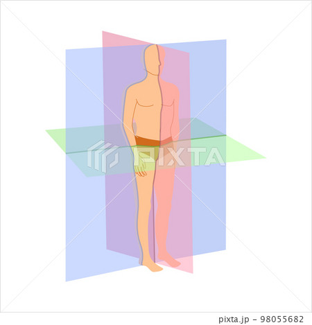 Scanning planes for body orientation position diagram 98055682