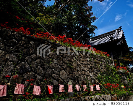 赤坂の明星輪寺の風景 赤坂の明星輪寺の風景 98056113