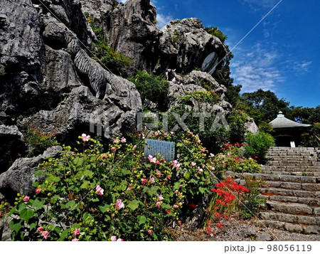 赤坂の明星輪寺の風景 赤坂の明星輪寺の風景 98056119