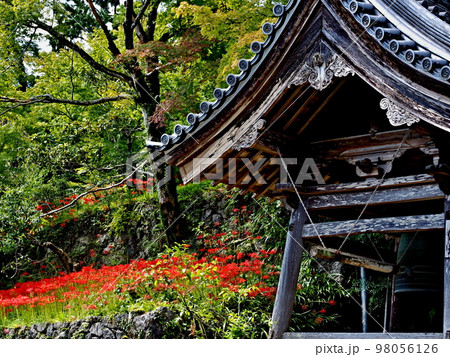 赤坂の明星輪寺の風景 98056126
