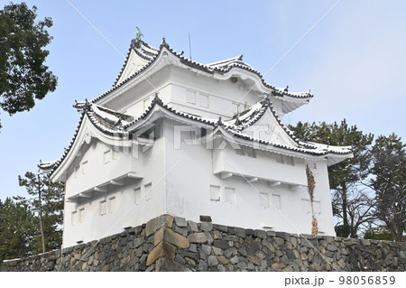 名古屋城の東南隅櫓の雪景色 98056859