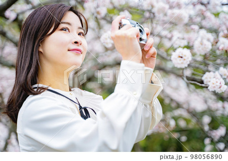 カメラを持ってお花見をする女性 カメラを持ってお花見をする女性 98056890