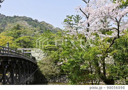 春の伊勢神宮 宇治橋と桜 内宮春爛漫 日本の神社 春の伊勢神宮 宇治橋と桜 内宮春爛漫 日本の神社 98056898