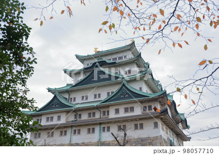 紅葉の時期のお城(名古屋城 愛知県 名古屋市) 紅葉の時期のお城(名古屋城 愛知県 名古屋市) 98057710