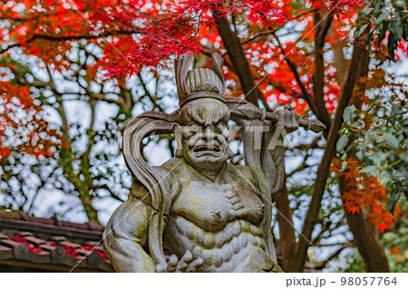 【神奈川県】興禅寺の秋風景・仁王像と境内の紅葉・12月 ※自然風景 【神奈川県】興禅寺の秋風景・仁王像と境内の紅葉・12月 ※自然風景 98057764