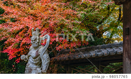 【神奈川県】興禅寺の秋風景・仁王像と境内の紅葉・12月 ※自然風景 【神奈川県】興禅寺の秋風景・仁王像と境内の紅葉・12月 ※自然風景 98057765