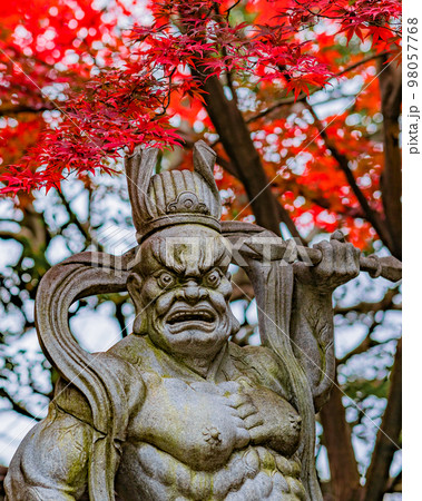【神奈川県】興禅寺の秋風景・仁王像と境内の紅葉・12月 ※自然風景 【神奈川県】興禅寺の秋風景・仁王像と境内の紅葉・12月 ※自然風景 98057768