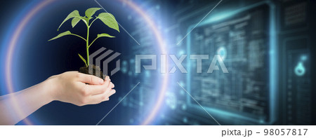 Agricultural technologies for growing plants and scientific research in the field of biology and chemistry of nature. Living green sprout in the hands of a farmer. Organic digital background 98057817