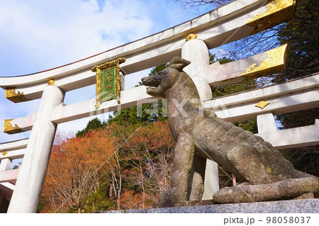 三峯神社 神社 秩父三社 三ツ鳥居 明神型鳥居 オオカミ 神犬 三峯神社 神社 秩父三社 三ツ鳥居 明神型鳥居 オオカミ 神犬 98058037