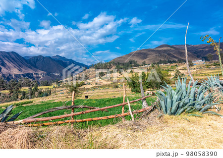 Mountain nature of South America in Peru Mountain nature of South America in Peru 98058390