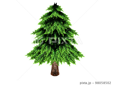 水彩の杉 98058502