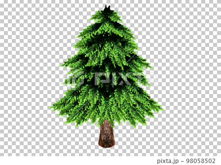 水彩の杉 98058502