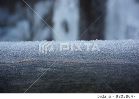 木に生える雪 木に生える雪 98058647