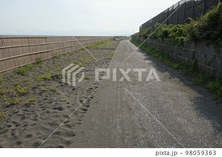 砂浜 砂浜 98059363