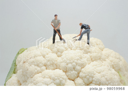 a figures worker on Whole Cauliflower Vegetable 98059968