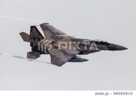 F-15DJアグレッサー F-15DJアグレッサー 98060819